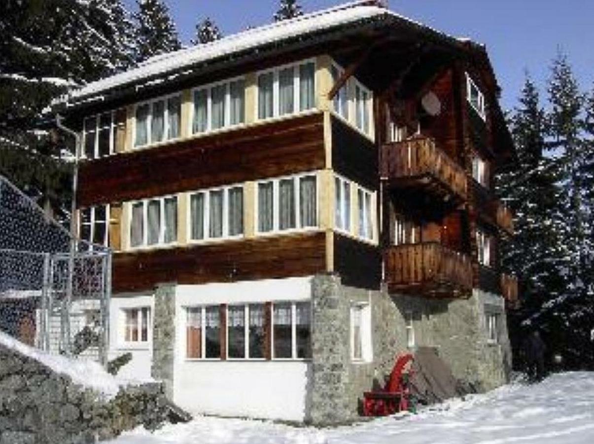 Chalet Suveran Lejlighed Arosa Eksteriør billede